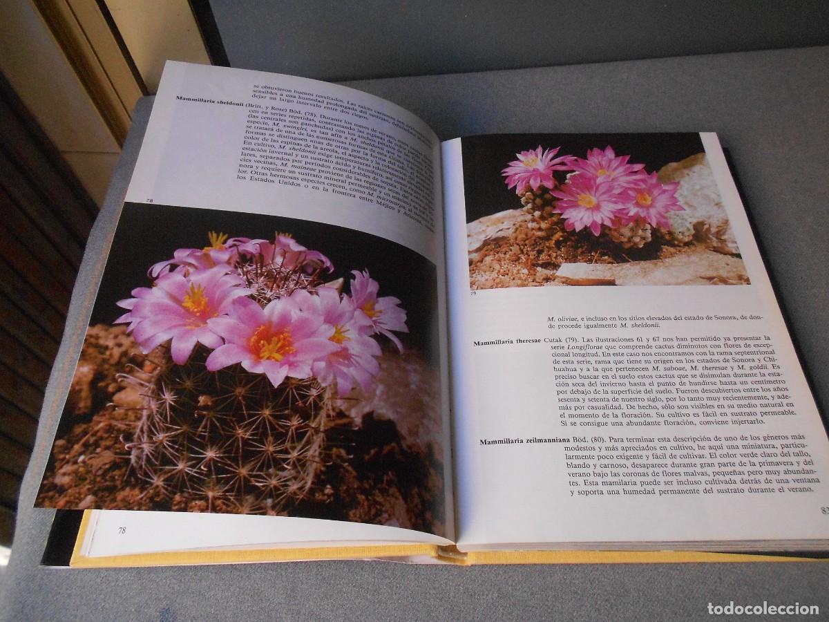 Libros de segunda mano: PEQUE&Ntilde;A ENCICLOPEDIA DE CACTUS - Foto 7
