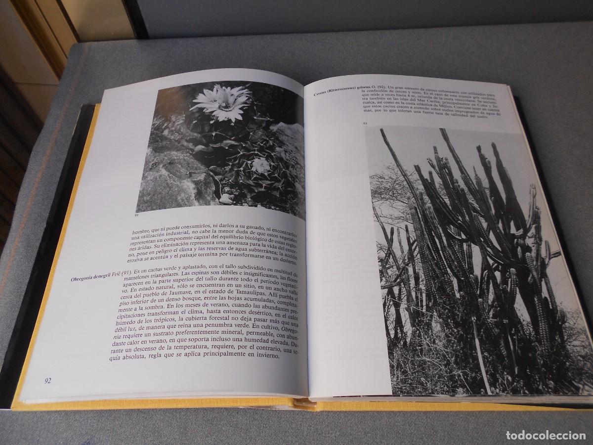 Libros de segunda mano: PEQUE&Ntilde;A ENCICLOPEDIA DE CACTUS - Foto 8