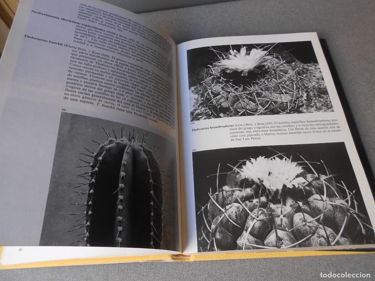 Libros de segunda mano: PEQUE&Ntilde;A ENCICLOPEDIA DE CACTUS - Foto 9