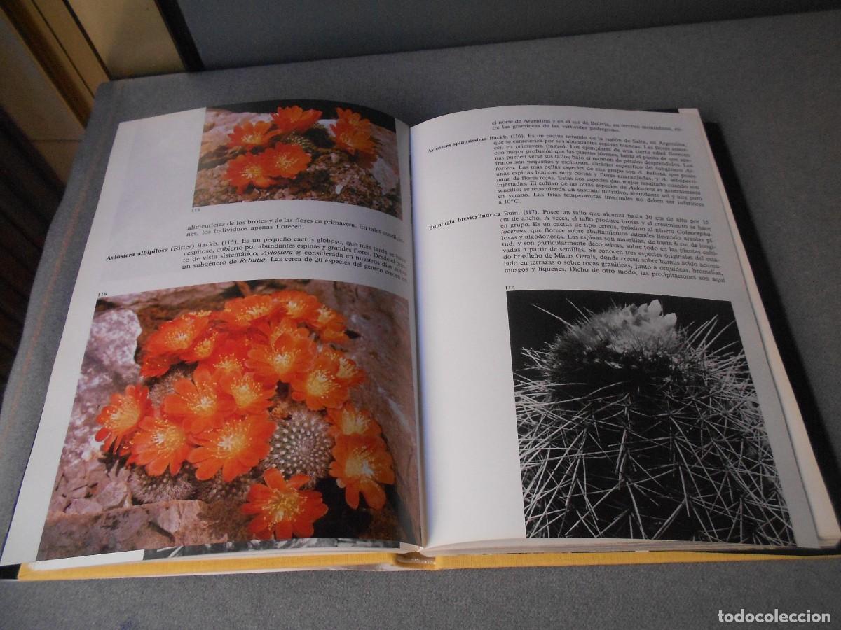 Libros de segunda mano: PEQUE&Ntilde;A ENCICLOPEDIA DE CACTUS - Foto 10