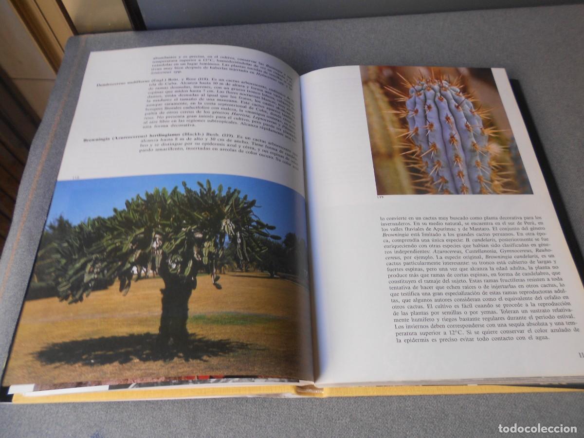 Libros de segunda mano: PEQUE&Ntilde;A ENCICLOPEDIA DE CACTUS - Foto 11