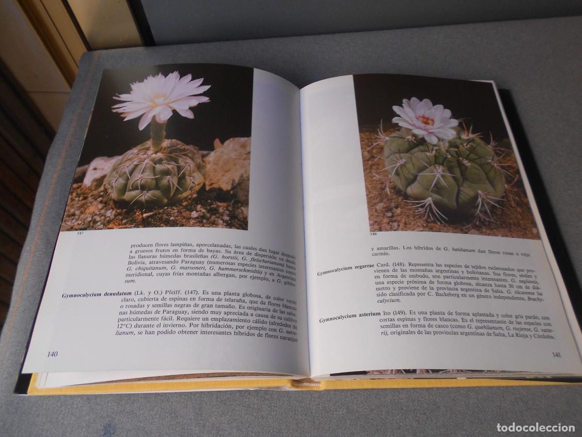 Libros de segunda mano: PEQUE&Ntilde;A ENCICLOPEDIA DE CACTUS - Foto 12