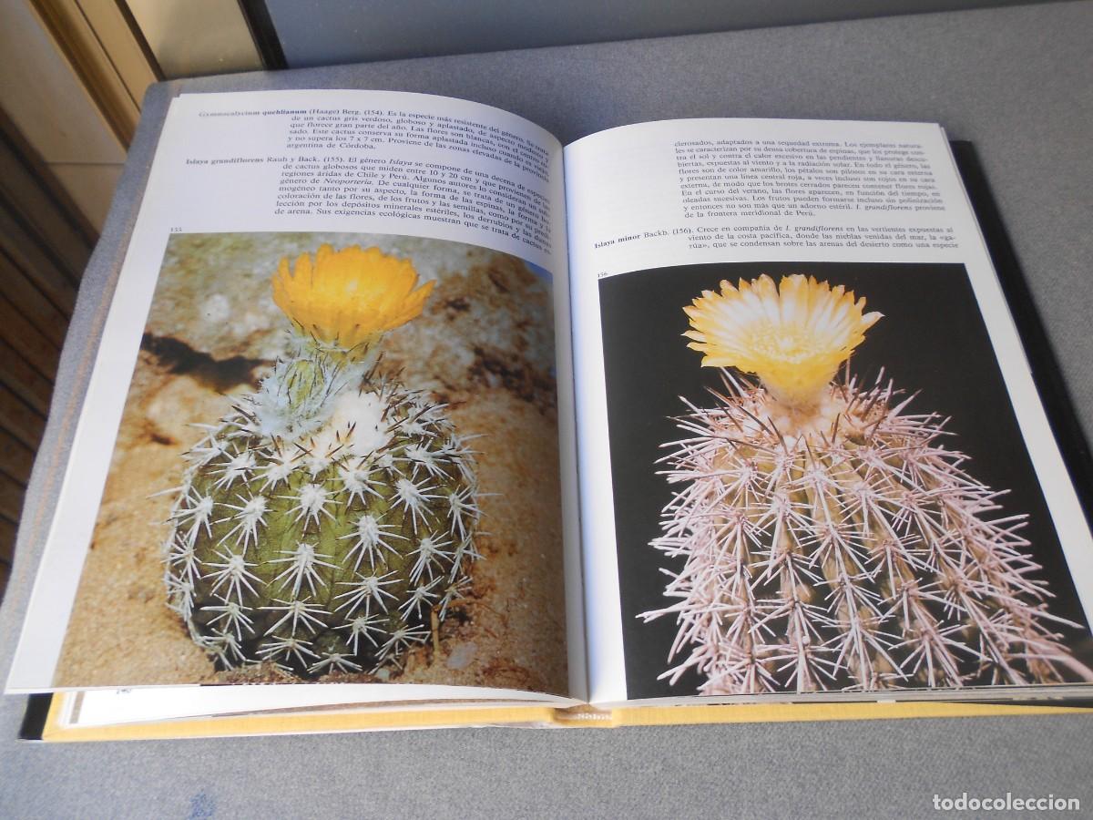 Libros de segunda mano: PEQUE&Ntilde;A ENCICLOPEDIA DE CACTUS - Foto 13