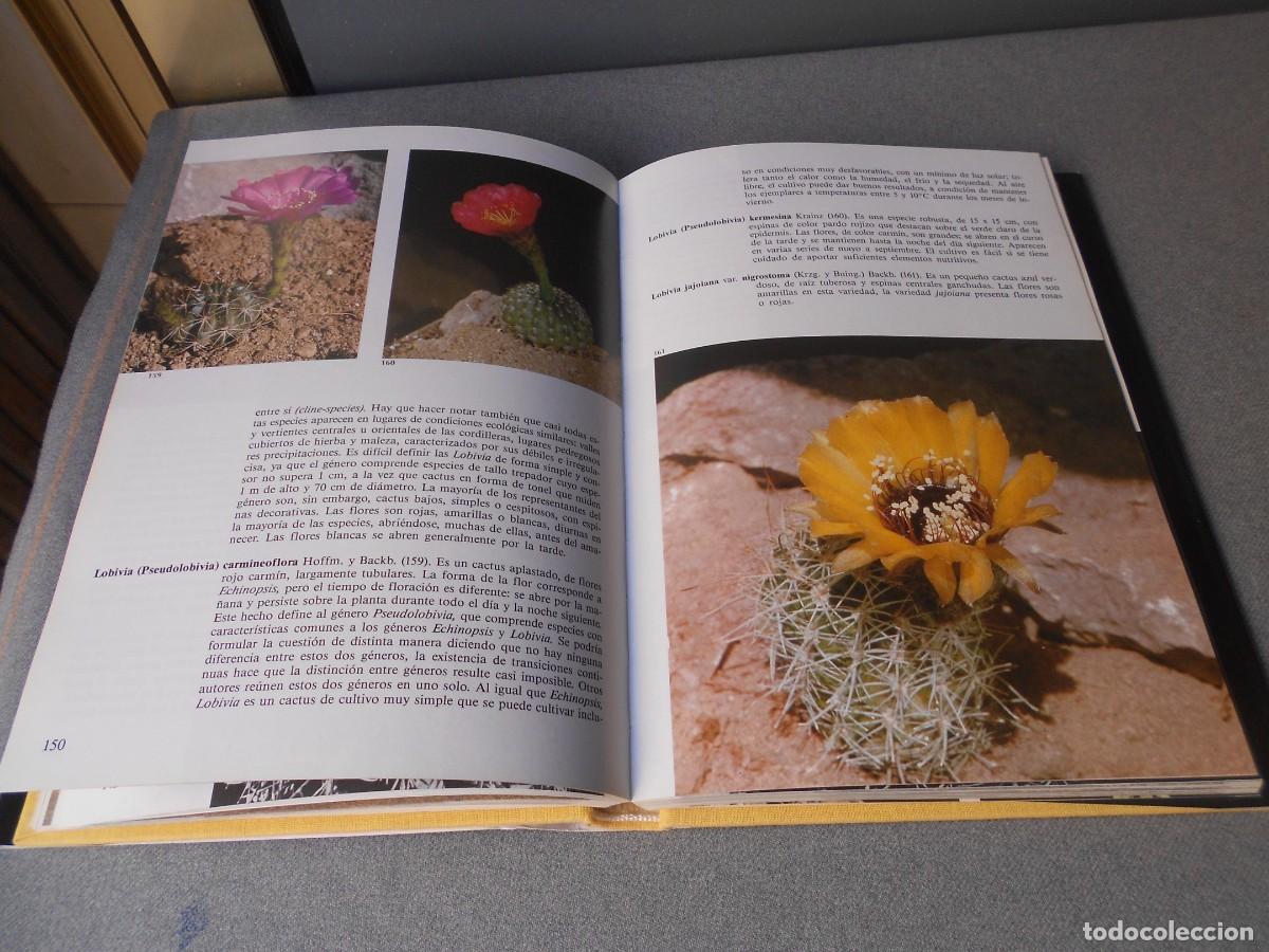 Libros de segunda mano: PEQUE&Ntilde;A ENCICLOPEDIA DE CACTUS - Foto 14
