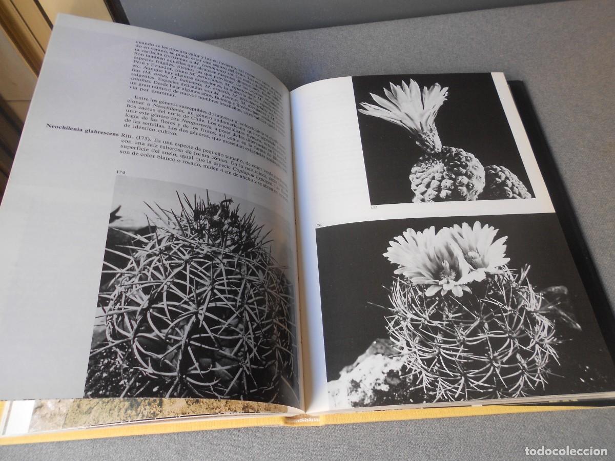 Libros de segunda mano: PEQUE&Ntilde;A ENCICLOPEDIA DE CACTUS - Foto 16
