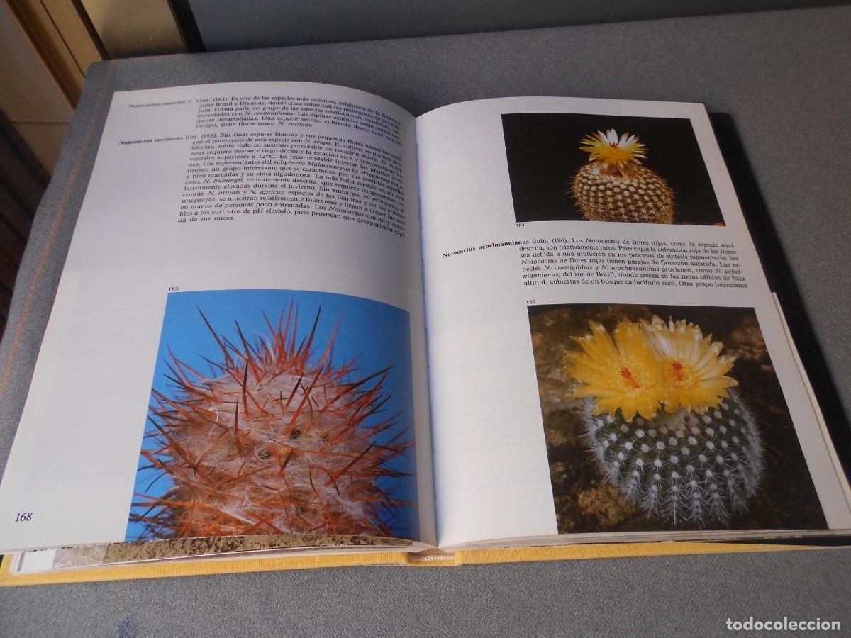 Libros de segunda mano: PEQUE&Ntilde;A ENCICLOPEDIA DE CACTUS - Foto 17