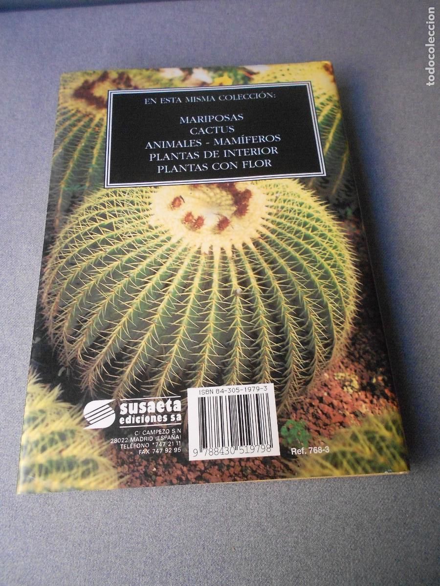 Libros de segunda mano: PEQUE&Ntilde;A ENCICLOPEDIA DE CACTUS - Foto 18