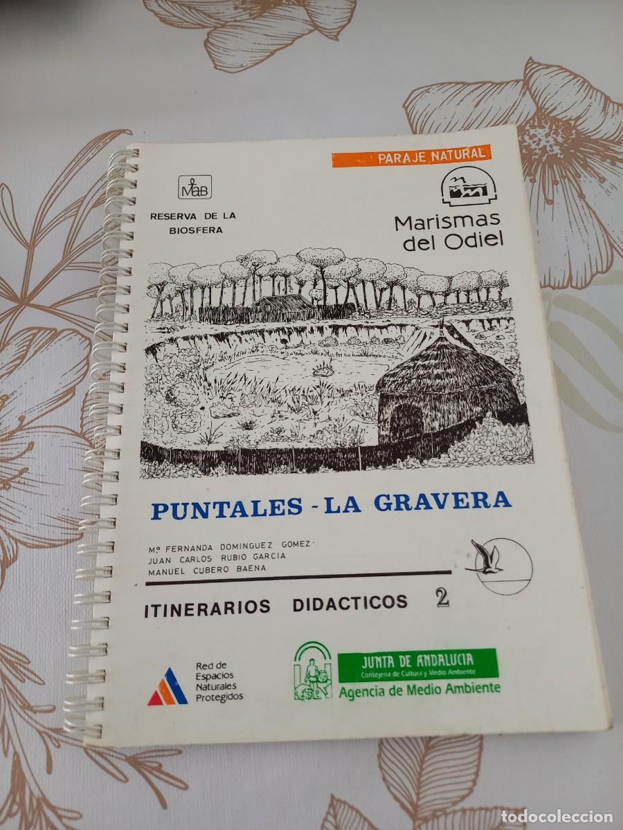 Second hand books: PUNTALES - LA GRAVERA , PARAJE NATURAL MARISMAS DEL ODIEL , HUELVA
