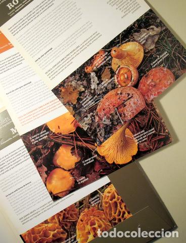 Libros de segunda mano: ELS NOSTRES BOLETS - Barcelona 2011. - Il&middot;lustrat - Foto 2