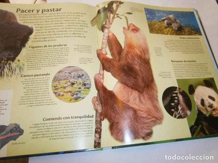 Libros de segunda mano: LA VIDA DE LOS ANIMALES - Foto 2