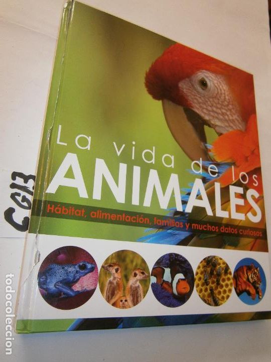Libros de segunda mano: LA VIDA DE LOS ANIMALES - Foto 1