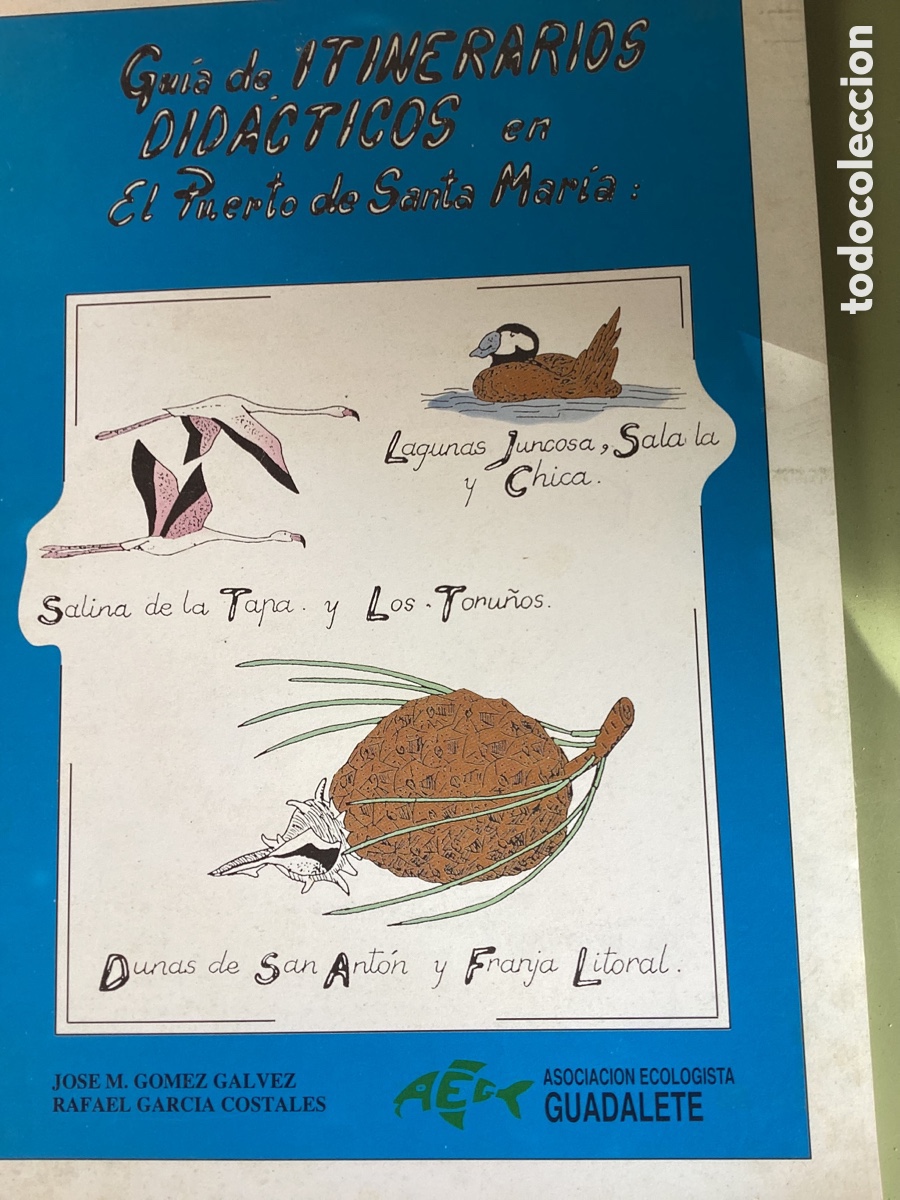 Libri di seconda mano: ITINERARIOS DID&Aacute;CTICOS EN EL PUERTO DE SANTA MAR&Iacute;A