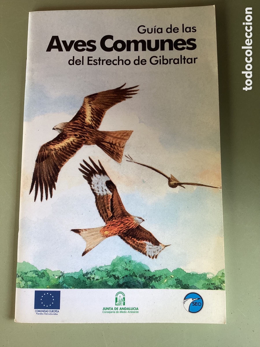 Libri di seconda mano: GU&Iacute;A DE LAS AVES COMUNES DEL ESTRECHO DE GIBRALTAR