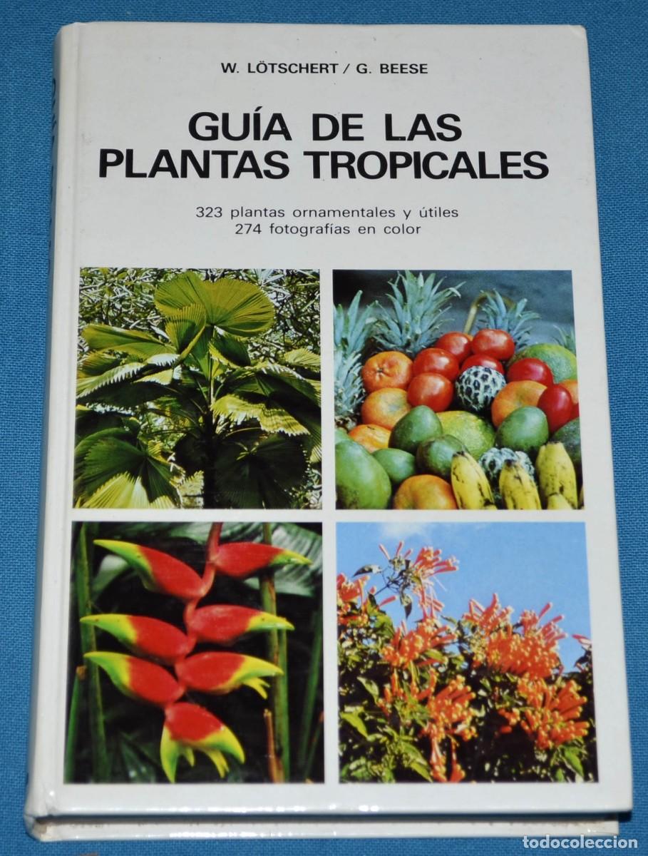 Libros de segunda mano: Libro gu&iacute;a de las plantas tropicales. Omega - Foto 1
