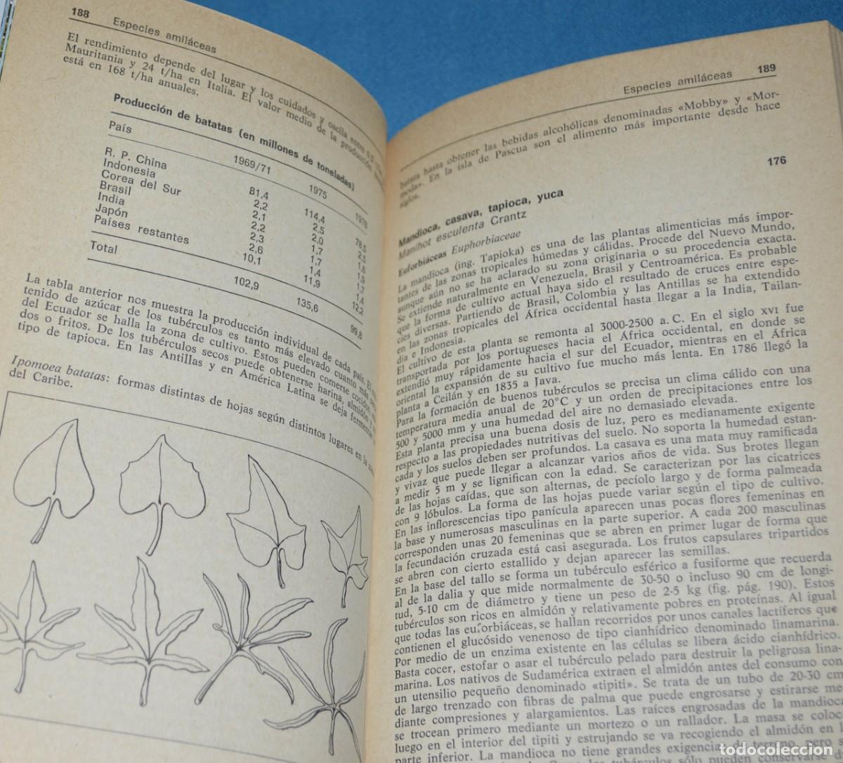 Libros de segunda mano: Libro gu&iacute;a de las plantas tropicales. Omega - Foto 4