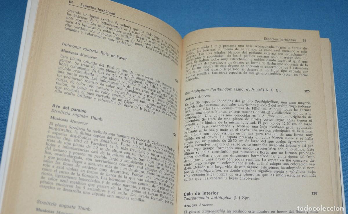 Libros de segunda mano: Libro gu&iacute;a de las plantas tropicales. Omega - Foto 5