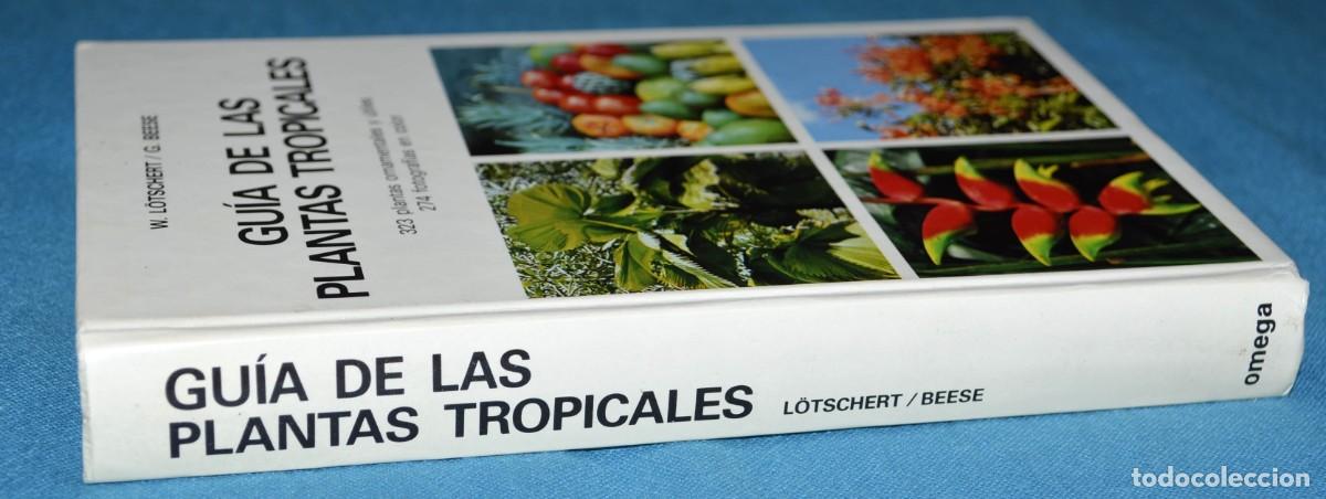 Libros de segunda mano: Libro gu&iacute;a de las plantas tropicales. Omega - Foto 7
