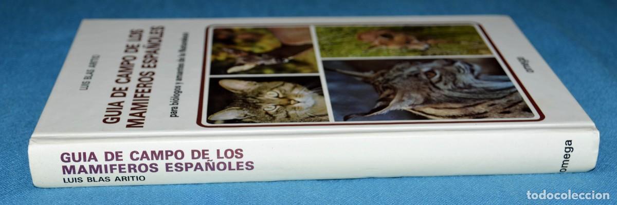 Libros de segunda mano: Libro gu&iacute;a de campo de los mam&iacute;feros espa&ntilde;oles. Omega. - Foto 8