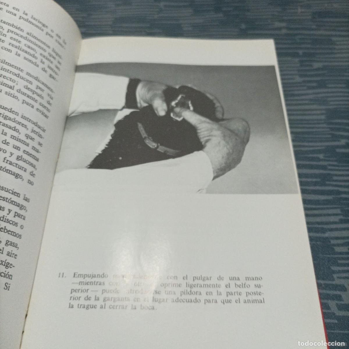 Libros de segunda mano: SU PERRO FRANZ GRANDERATH, EDICIONES GEA,1966,156 PAG. - Foto 3