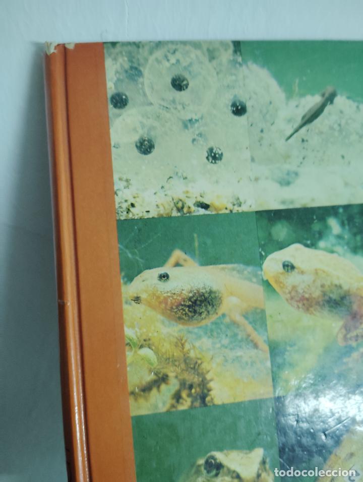 Libros de segunda mano: BIOLOG&Iacute;A 1 Y 2-PORTES 5.99 - Foto 3