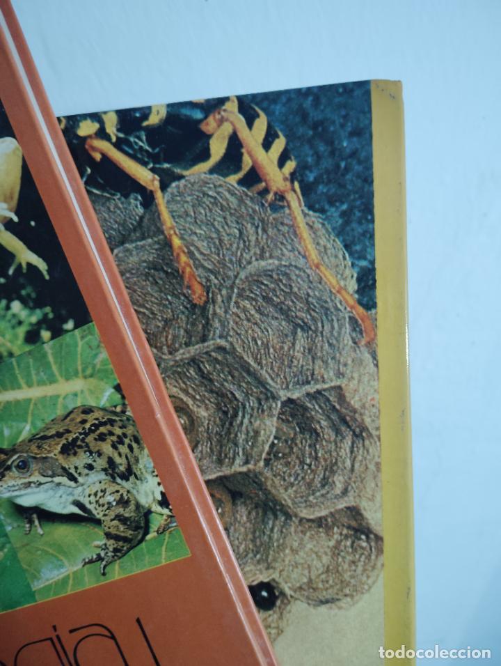 Libros de segunda mano: BIOLOG&Iacute;A 1 Y 2-PORTES 5.99 - Foto 4
