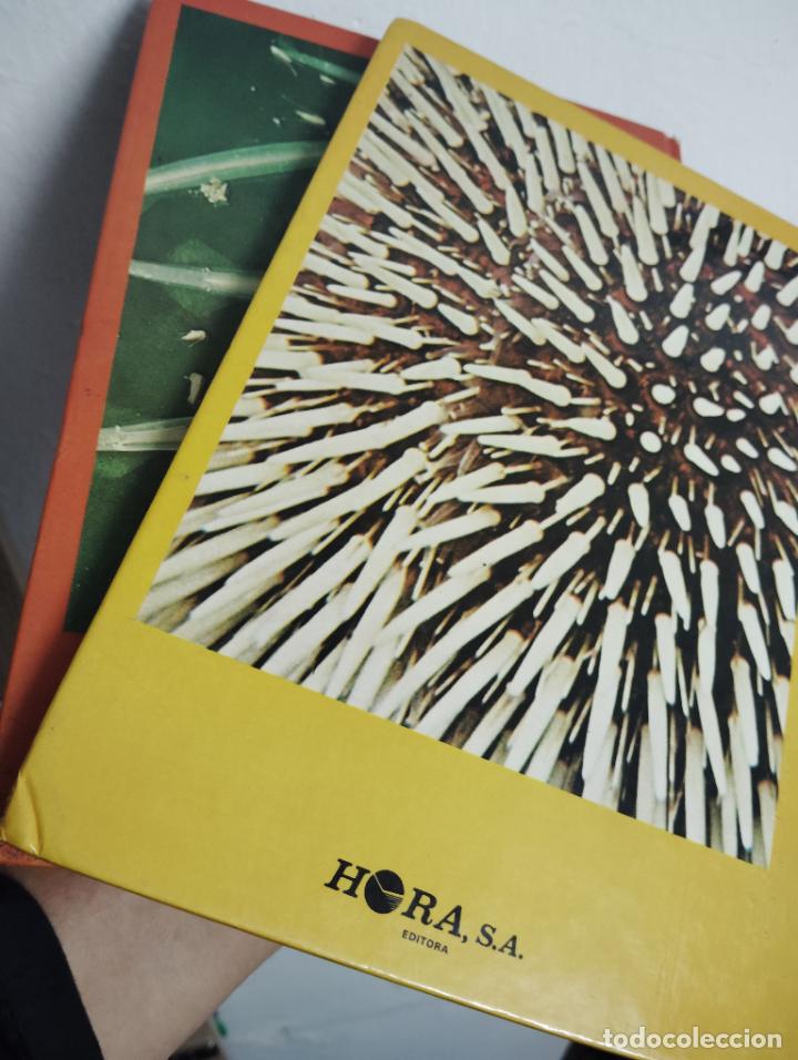 Libros de segunda mano: BIOLOG&Iacute;A 1 Y 2-PORTES 5.99 - Foto 5