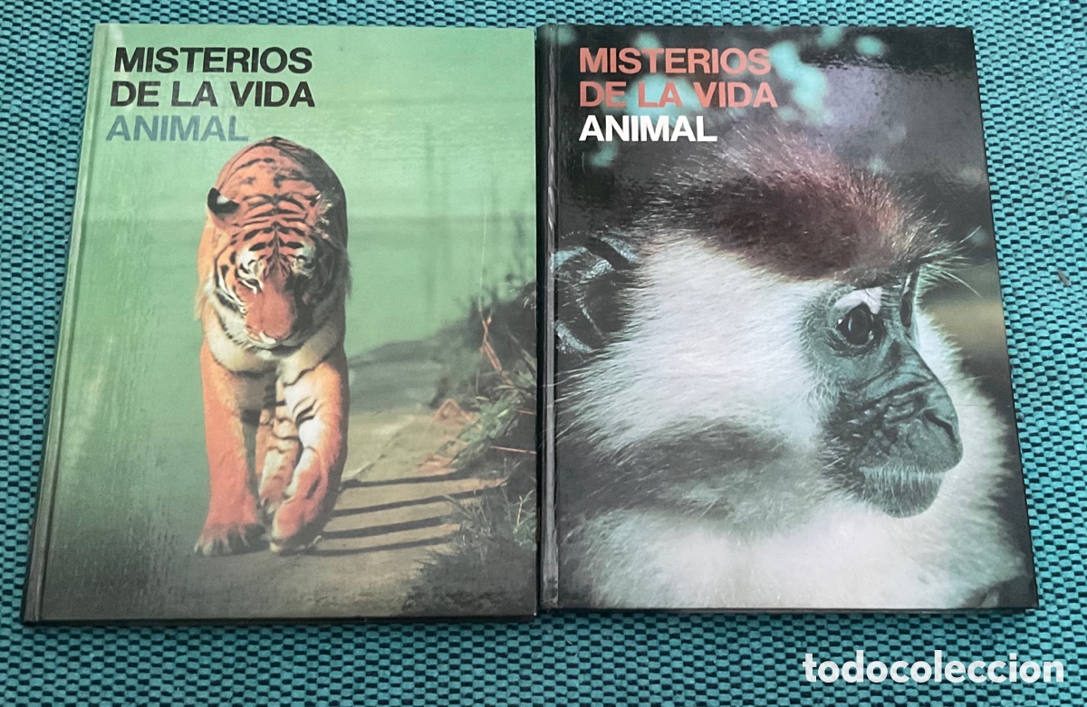 Libri di seconda mano: MISTERIOS DE LA VIDA ANIMAL. Tomo I y II. Los animales de &Aacute;frica. Los animales de Am&eacute;rica.