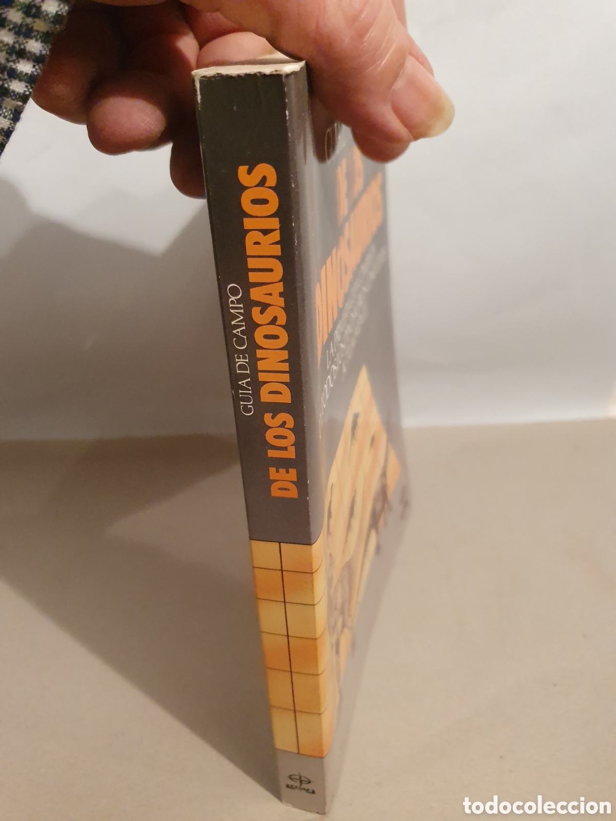 Libros de segunda mano: GUIA DE CAMPO DE LOS DINOSAURIOS. DAVID LAMBERT. EDAF 1988. - Foto 2