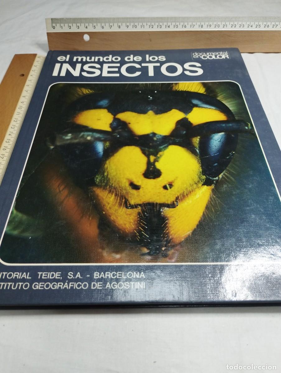 Libros de segunda mano: El mundo de los insectos. Editorial Teide, 1973 - Foto 1