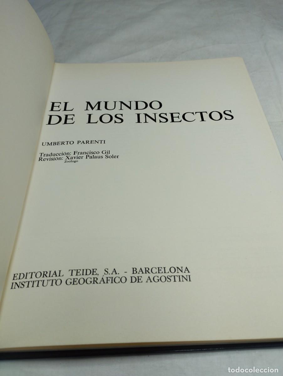 Libros de segunda mano: El mundo de los insectos. Editorial Teide, 1973 - Foto 2