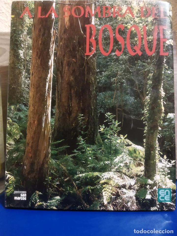 Libros de segunda mano: A la sombra del bosque - Foto 1