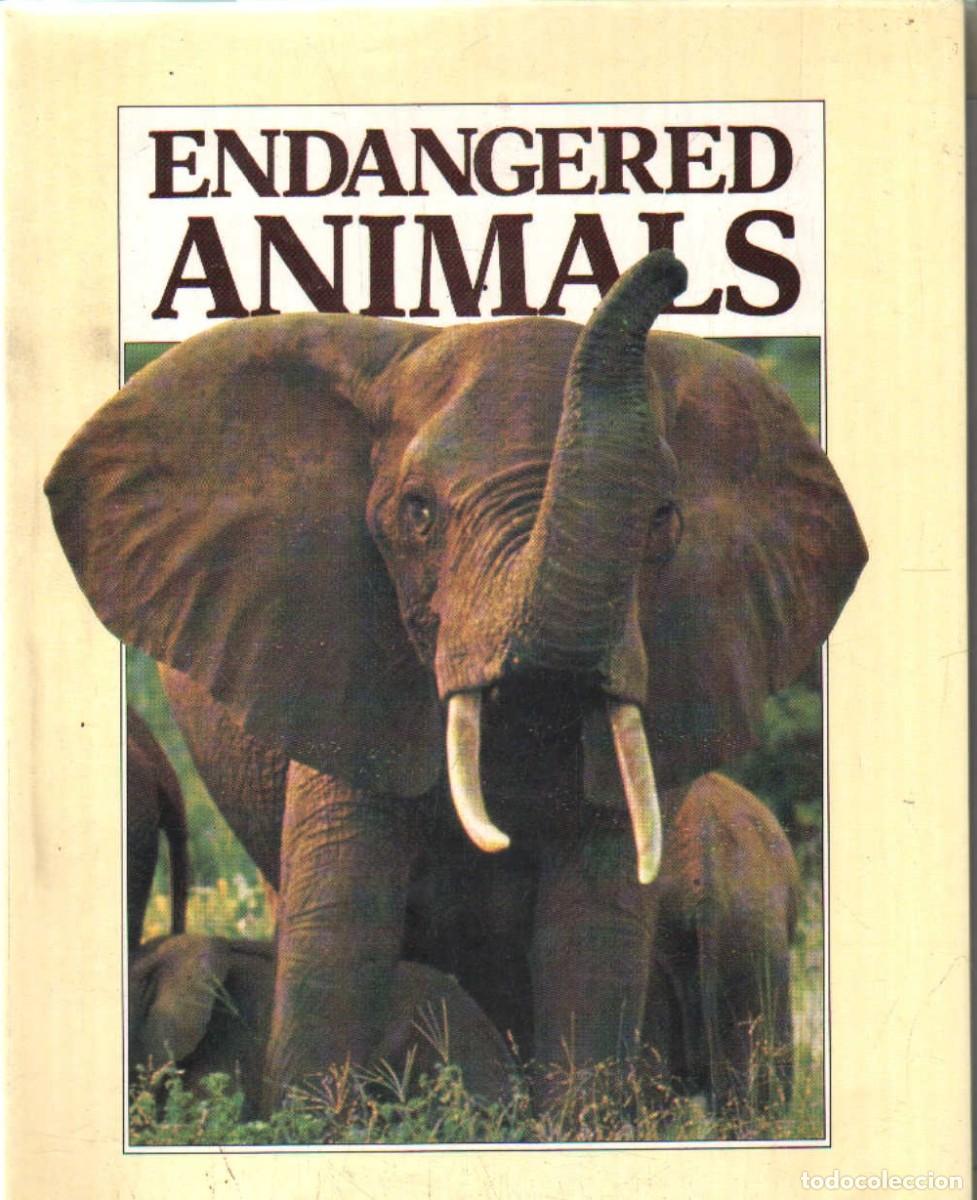Libri di seconda mano: ENDANGERED ANIMALS. A-ANIMAL-208