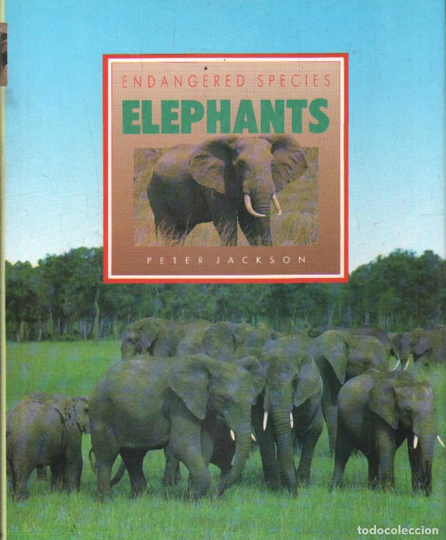 Libri di seconda mano: ENDANGERED SPECIES: ELEPHANTS. JACKSON, PETER. A-ANIMAL-210