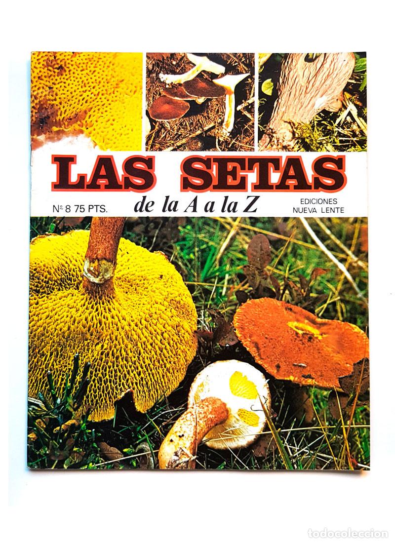 Libros de segunda mano: FASCICULO N&ordm; 8 LAS SETAS DE LA A A LA Z EDICIONES NUEVA LENTE - Foto 1