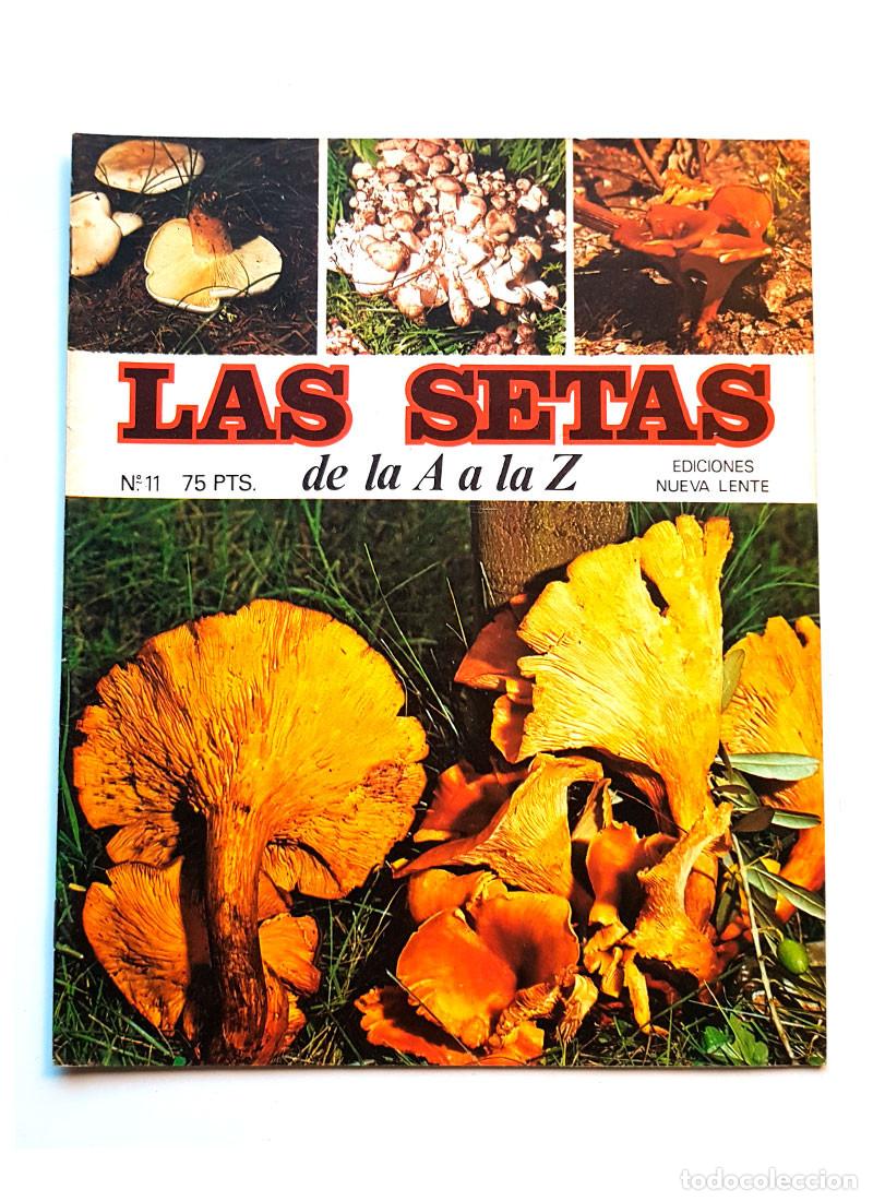 Libros de segunda mano: FASCICULO N&ordm; 11 LAS SETAS DE LA A A LA Z EDICIONES NUEVA LENTE - Foto 1