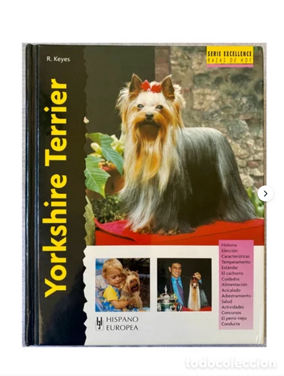 Libros de segunda mano: Yorkshire Terrier. R. Keyes. Ed. Hispano Europea. 2008. Tapas duras. - Foto 2