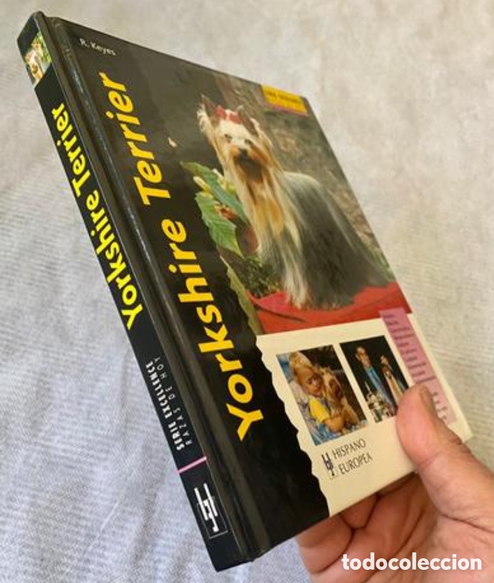 Libros de segunda mano: Yorkshire Terrier. R. Keyes. Ed. Hispano Europea. 2008. Tapas duras. - Foto 4