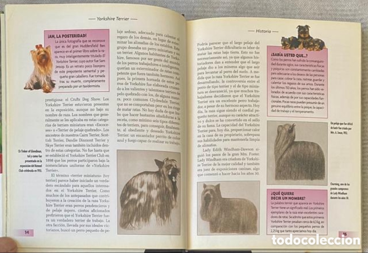 Libros de segunda mano: Yorkshire Terrier. R. Keyes. Ed. Hispano Europea. 2008. Tapas duras. - Foto 8