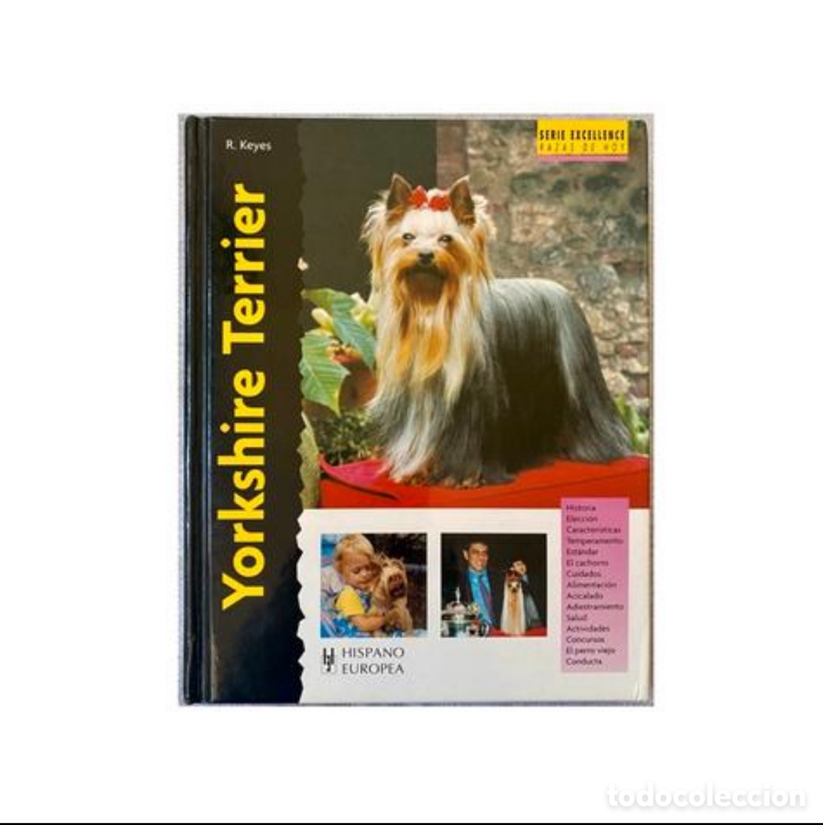 Libros de segunda mano: Yorkshire Terrier. R. Keyes. Ed. Hispano Europea. 2008. Tapas duras. - Foto 1