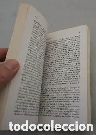 Libros de segunda mano: El libro de las setas.Manuel Toharia.1985. - Foto 6
