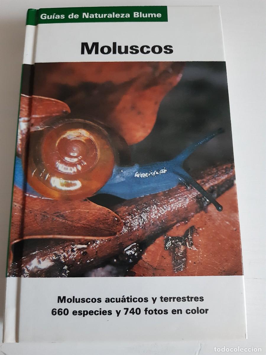 Libros de segunda mano: Moluscos gu&iacute;as de la naturaleza Blume - Foto 1