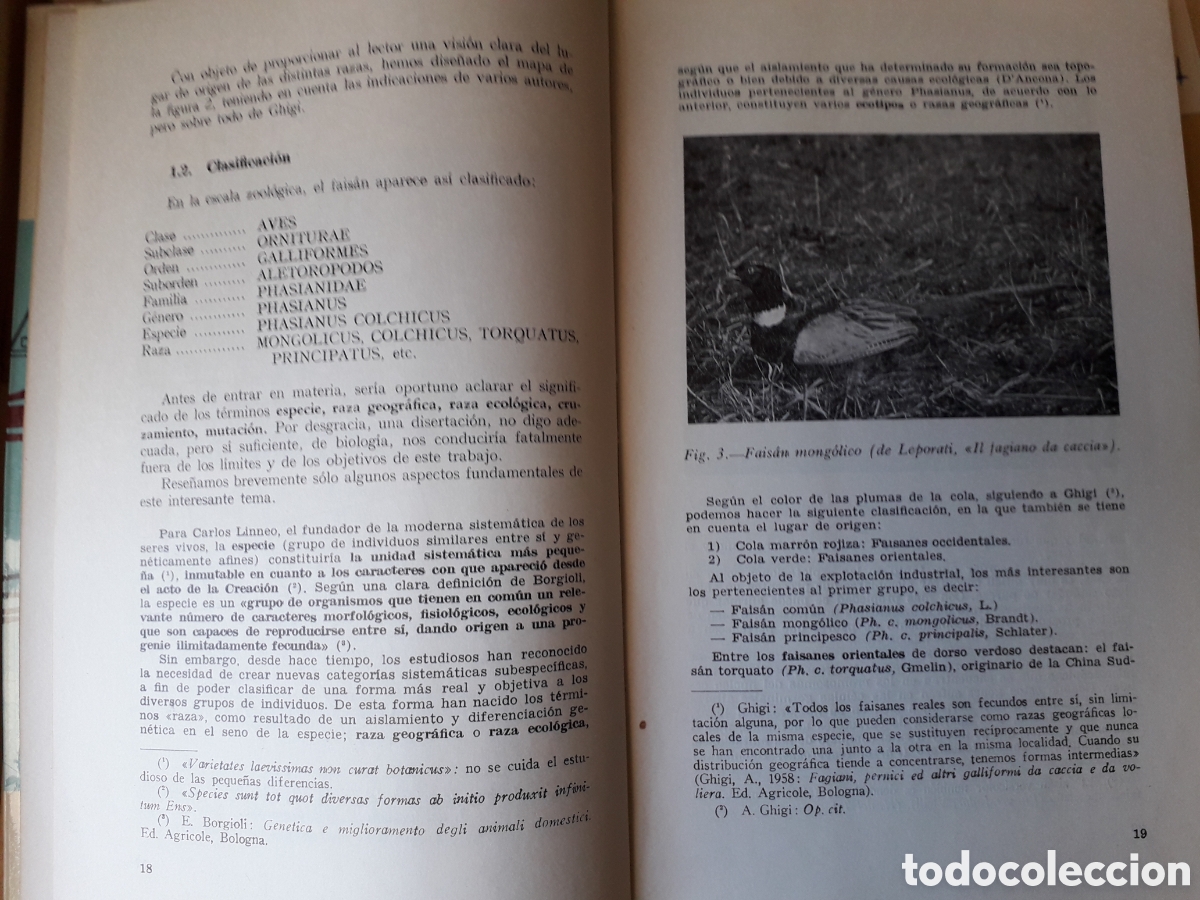 Libros de segunda mano: Cria del faisan - Foto 2