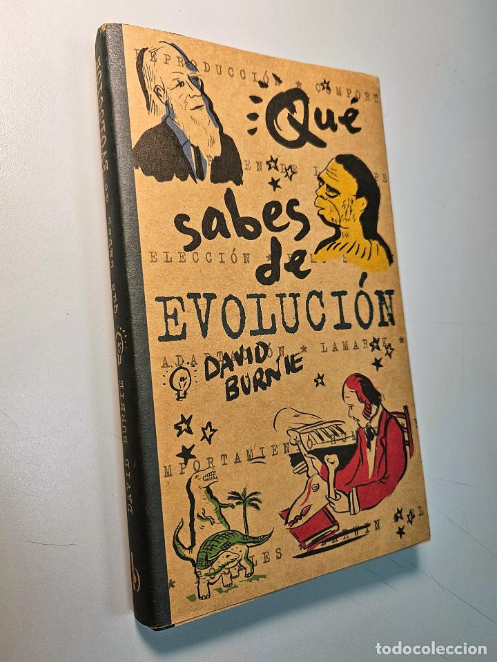 Libros de segunda mano: QU&Eacute; SABES DE EVOLUCI&Oacute;N / DAVID BURNIE / EDICIONES B, 2000 - Foto 1