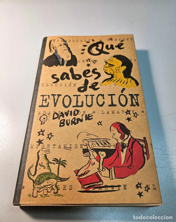 Libros de segunda mano: QU&Eacute; SABES DE EVOLUCI&Oacute;N / DAVID BURNIE / EDICIONES B, 2000 - Foto 2