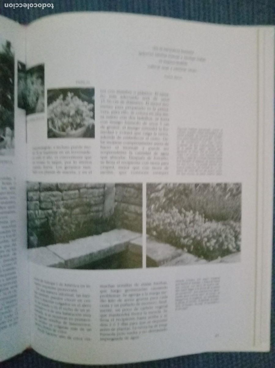 Libros de segunda mano: Hierbas y especias - Foto 3