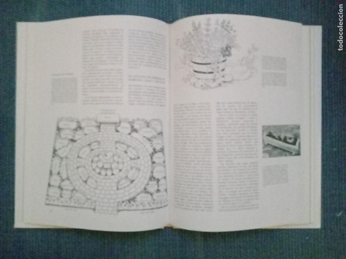 Libros de segunda mano: Hierbas y especias - Foto 4
