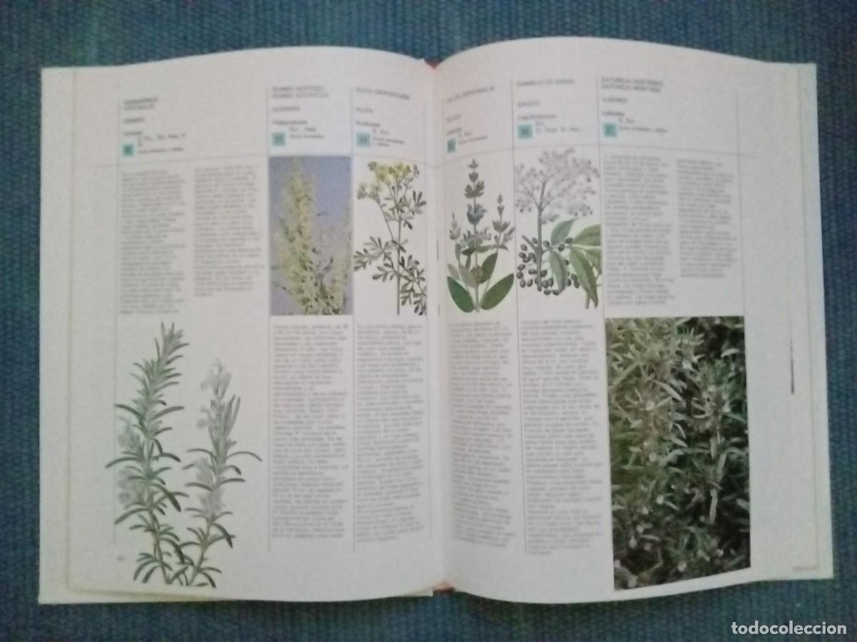 Libros de segunda mano: Hierbas y especias - Foto 6