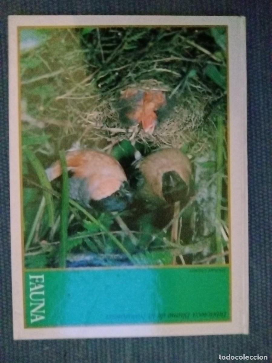 Libros de segunda mano: Chinery, Michael: La Fauna - Foto 1