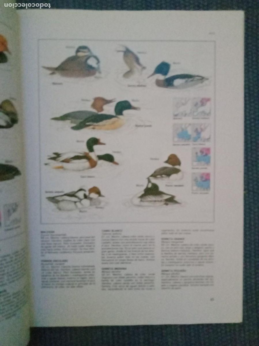 Libros de segunda mano: Chinery, Michael: La Fauna - Foto 2