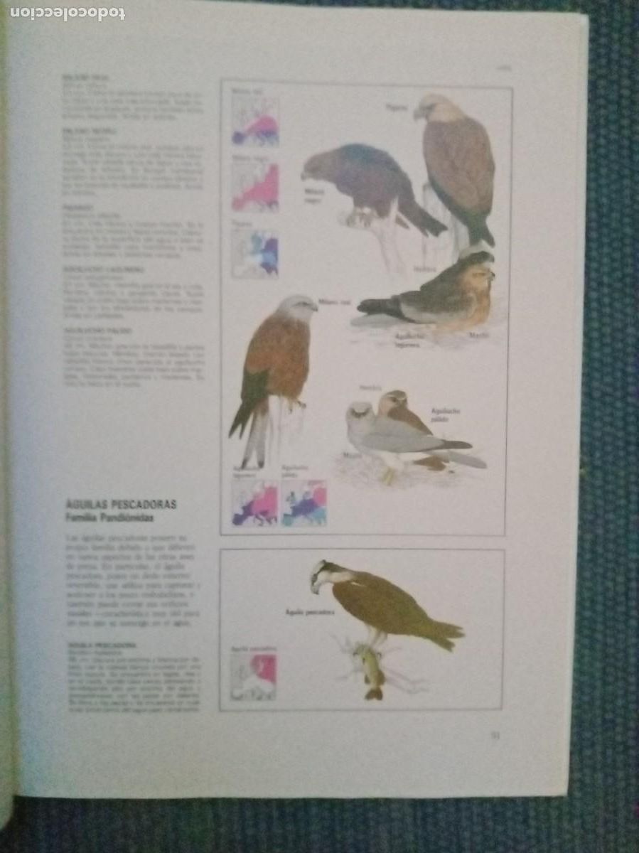 Libros de segunda mano: Chinery, Michael: La Fauna - Foto 3